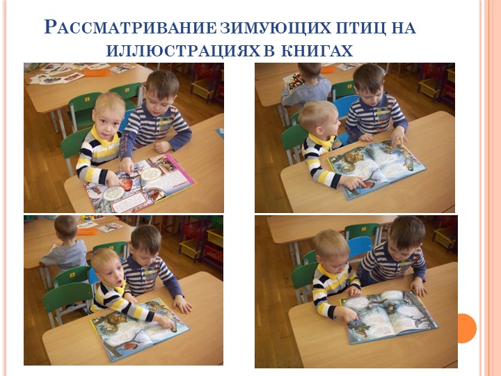 Презентация на тему "Зимующие птицы"