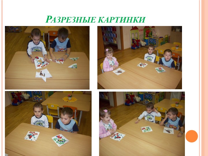 Презентация на тему "Зимующие птицы"