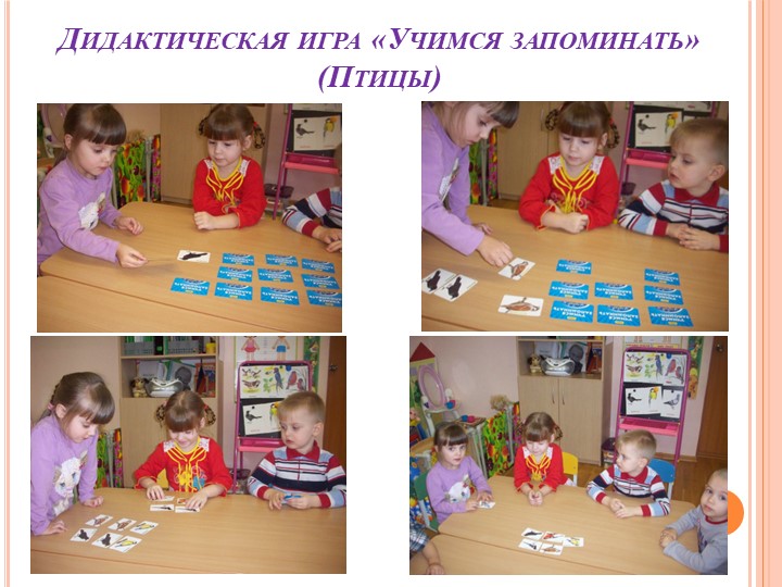 Презентация на тему "Зимующие птицы"