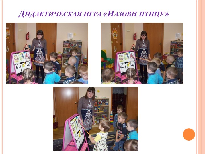 Презентация на тему "Зимующие птицы"