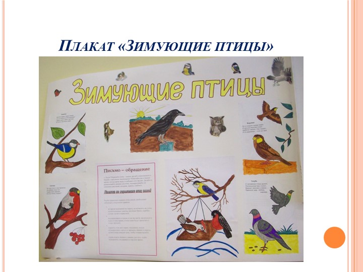 Презентация на тему "Зимующие птицы"