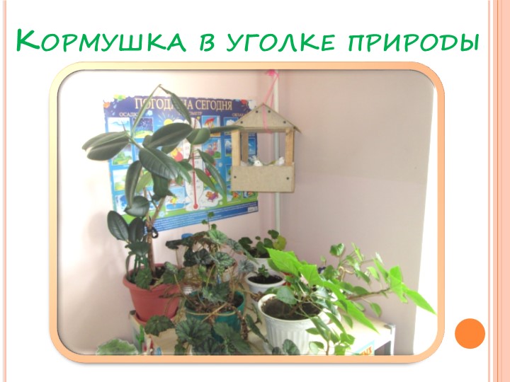 Презентация на тему "Зимующие птицы"