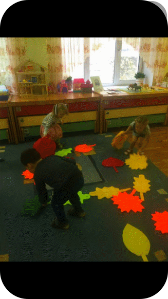 2017-10-24 11.10.00.jpg
