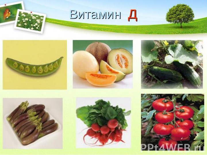 Презентация на тему "Витамины наши друзья"