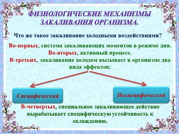 Презентация "Система закаливания летом"