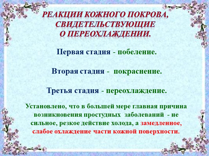 Презентация "Система закаливания летом"