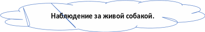 Shape13