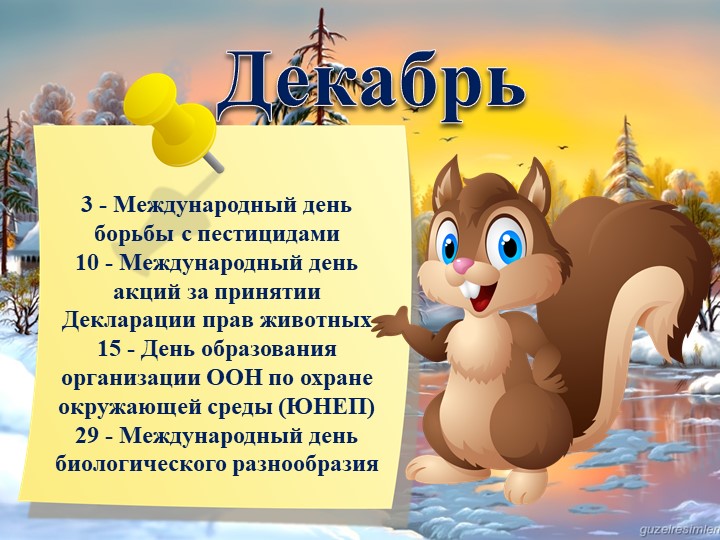 Презентация "Календарь экологических дат"