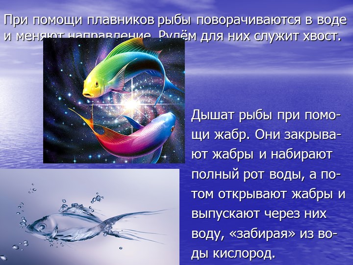 Презентация по познавательному развитию на тему "Кто такие рыбы?"
