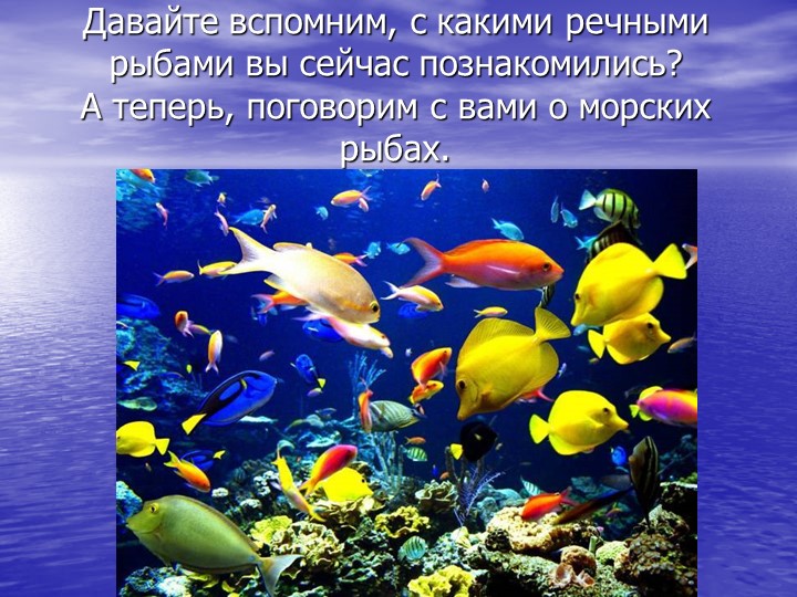Презентация по познавательному развитию на тему "Кто такие рыбы?"