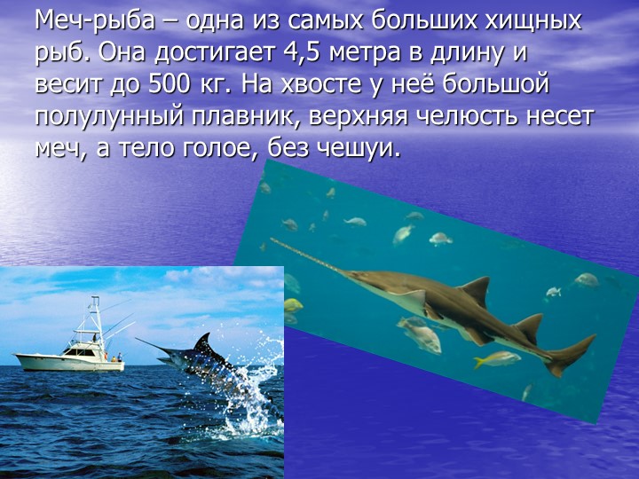 Презентация по познавательному развитию на тему "Кто такие рыбы?"