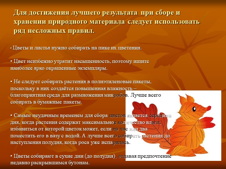 Презентация по художественно-эстетическогму развитию на тему "Природный материал в детском творчестве"