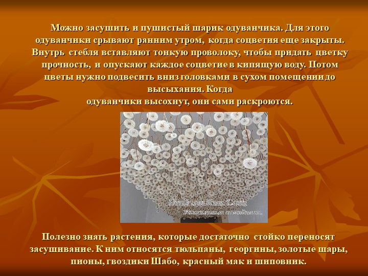 Презентация по художественно-эстетическогму развитию на тему "Природный материал в детском творчестве"