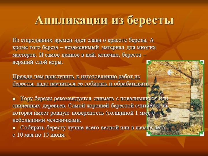 Презентация по художественно-эстетическогму развитию на тему "Природный материал в детском творчестве"