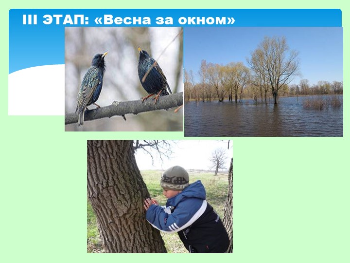 Презентация проекта в ДОУ на тему "Времена года"