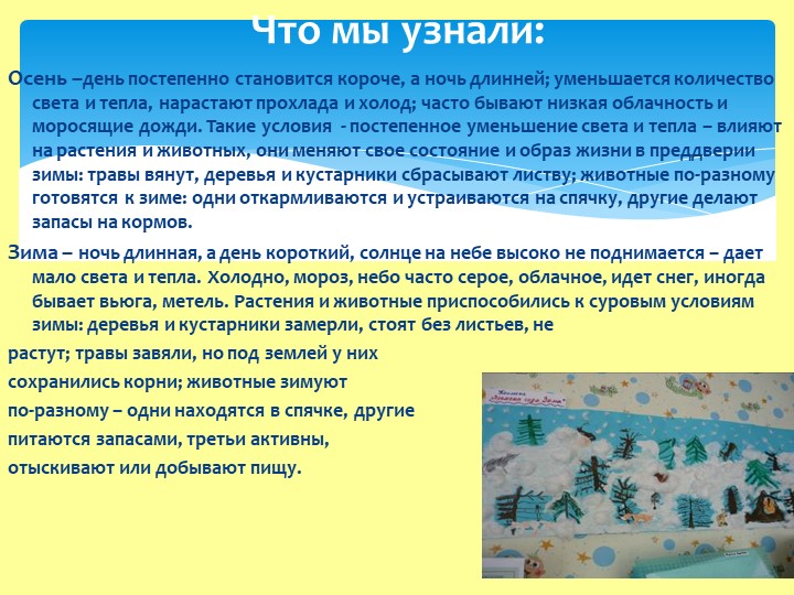 Презентация проекта в ДОУ на тему "Времена года"