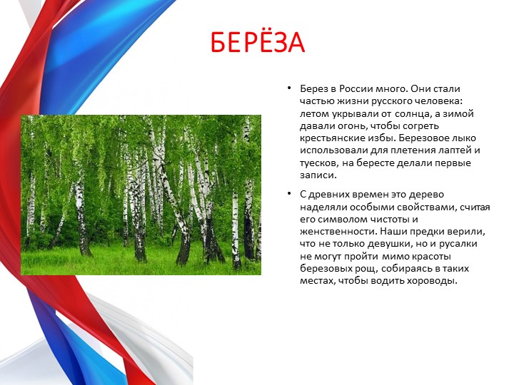 Презентация по теме "Россия-Родина моя" для будущих первоклассников