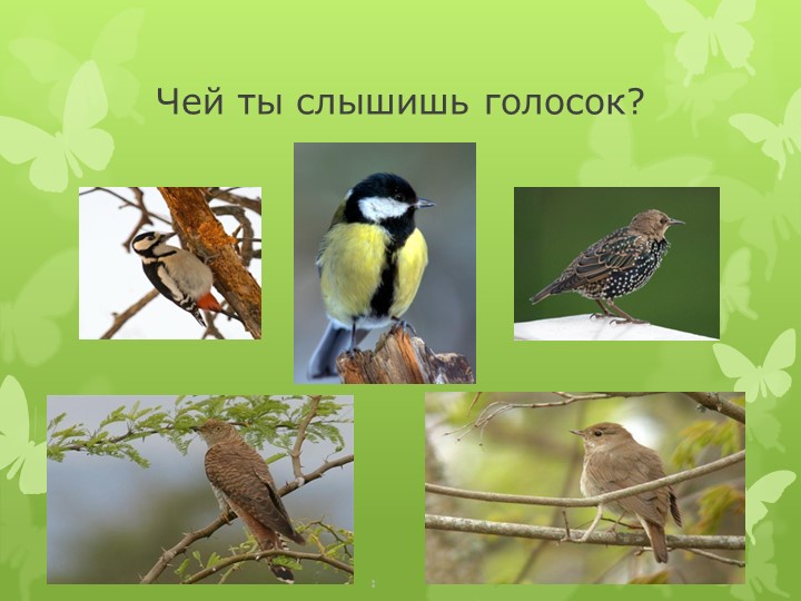 "Знакомство с будущими первоклассниками"