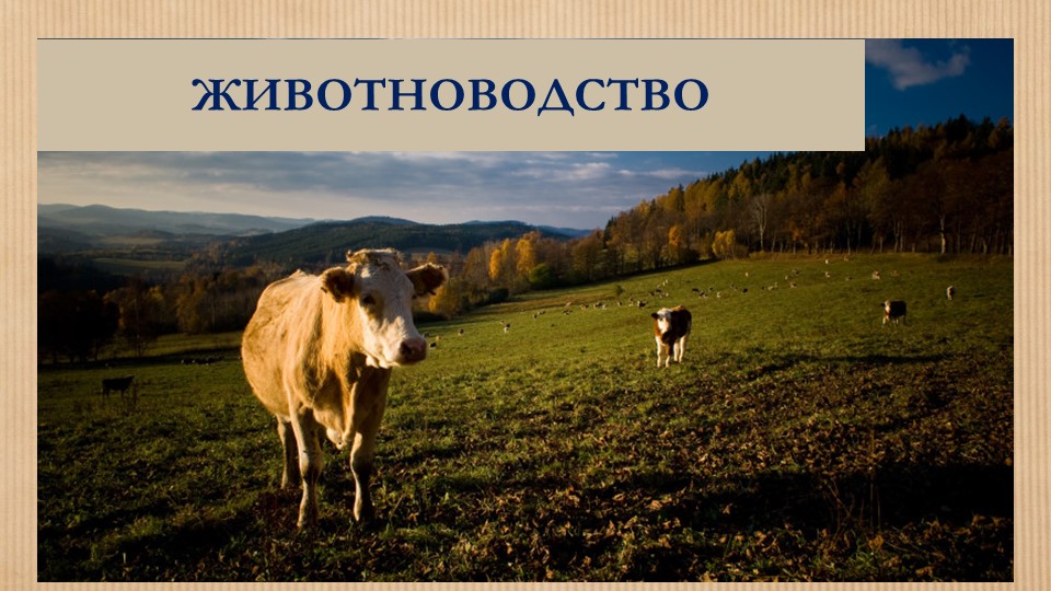 Презентация для детей дошкольного возраста на тему "Сельскохозяйственные профессии"