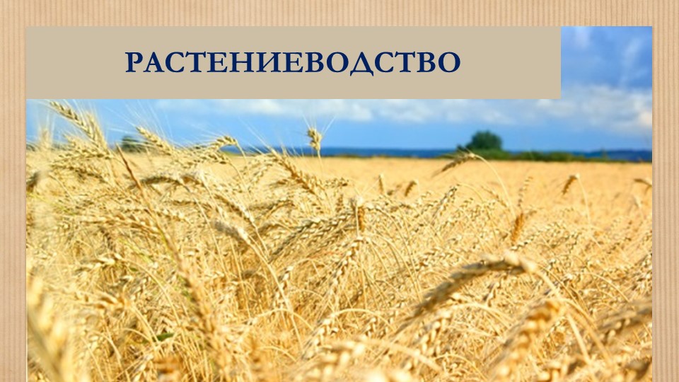 Презентация для детей дошкольного возраста на тему "Сельскохозяйственные профессии"