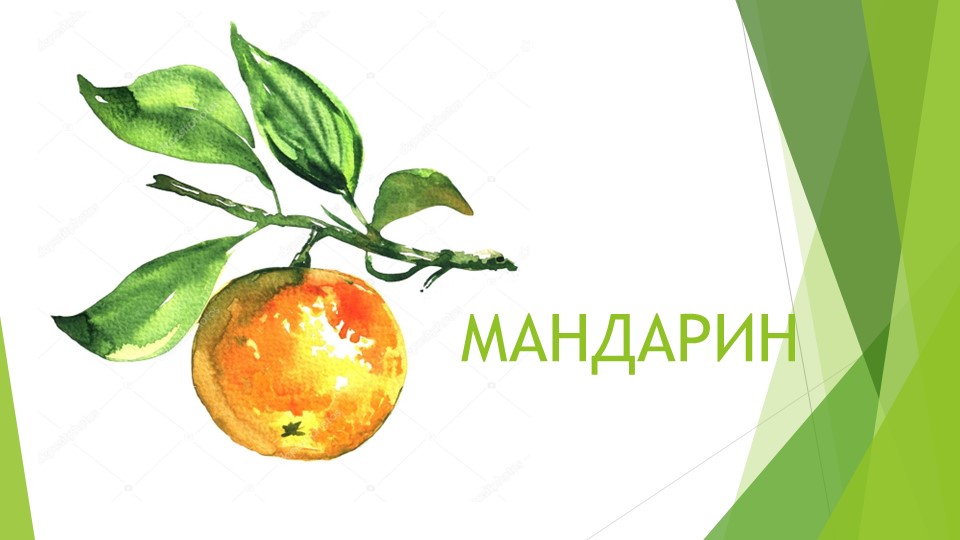 Презентация для дошкольников на тему "Фрукты разные важны"