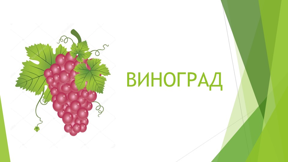 Презентация для дошкольников на тему "Фрукты разные важны"