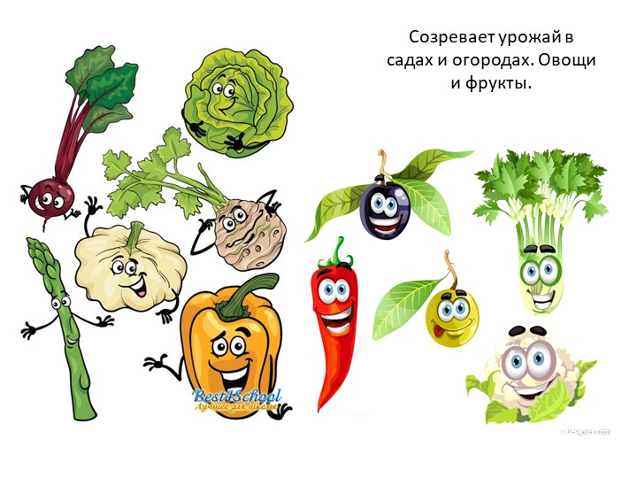 Презентация на тему "Осенние признаки"