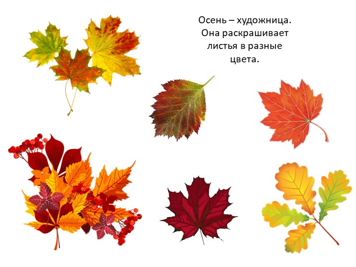 Презентация на тему "Осенние признаки"