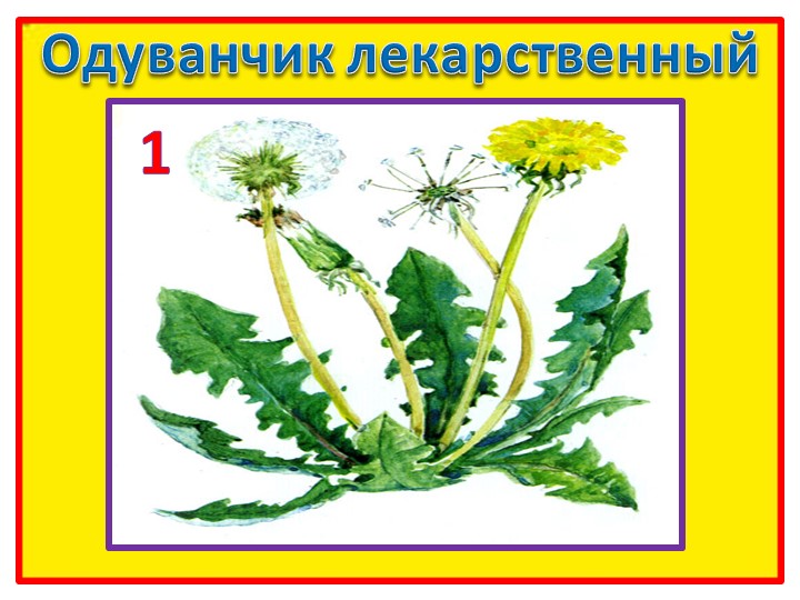 Презентация на тему "ТРИЗ и развитие связной речи" (Система - оператор.)