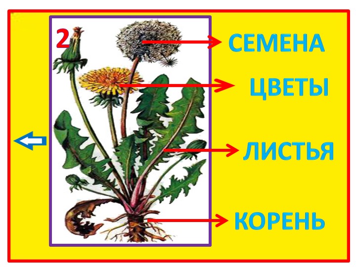 Презентация на тему "ТРИЗ и развитие связной речи" (Система - оператор.)