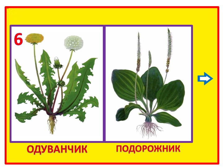 Презентация на тему "ТРИЗ и развитие связной речи" (Система - оператор.)