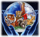 Picture 30
