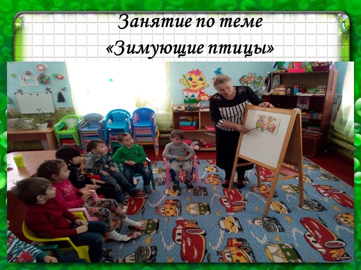 Презентация к экологическому проекту "Покормите птиц зимой"