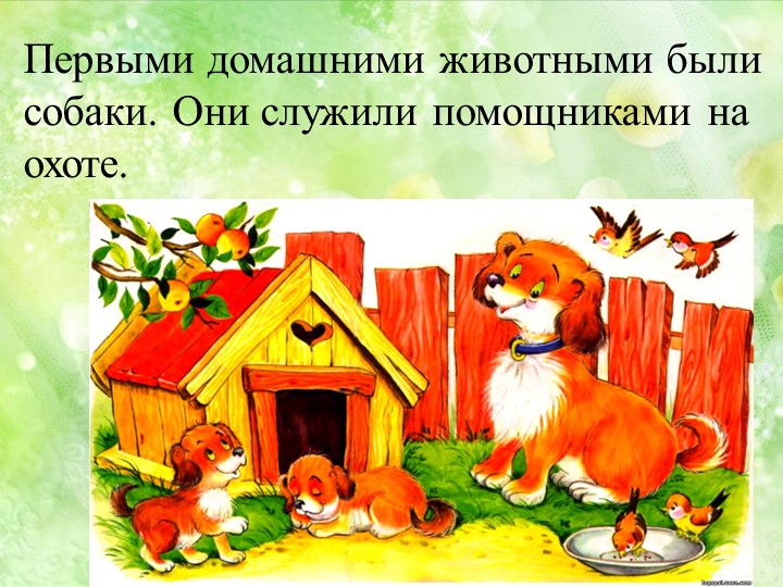 Презентация на тему "Домашние животные"