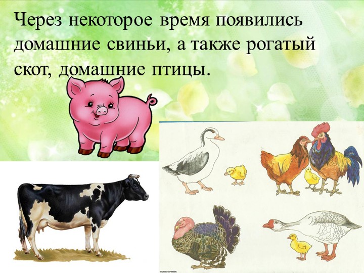 Презентация на тему "Домашние животные"