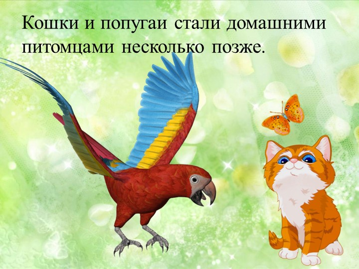 Презентация на тему "Домашние животные"