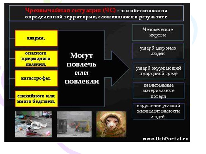 Презентация на тему "Дорожные знаки"