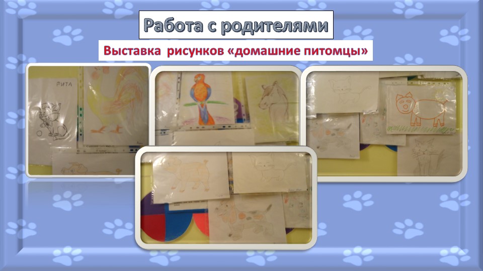 Презентация-отчет по проектной деятельности "Мир диких и домашних животных"