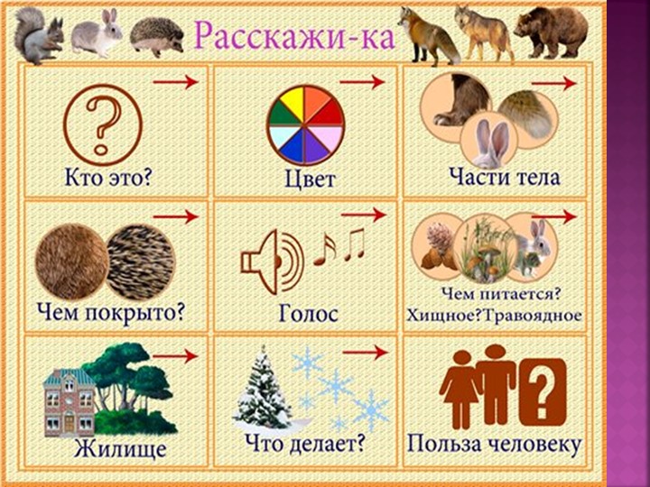Презентация по окружающему миру в младшей группе №1 ГБОУ «Гимназия №1272» д/о «Академия детства» на тему «Животные»