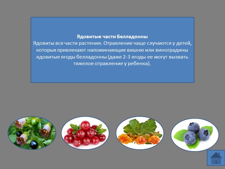 Интерактивная игра "Несъедобные ягоды и грибы"