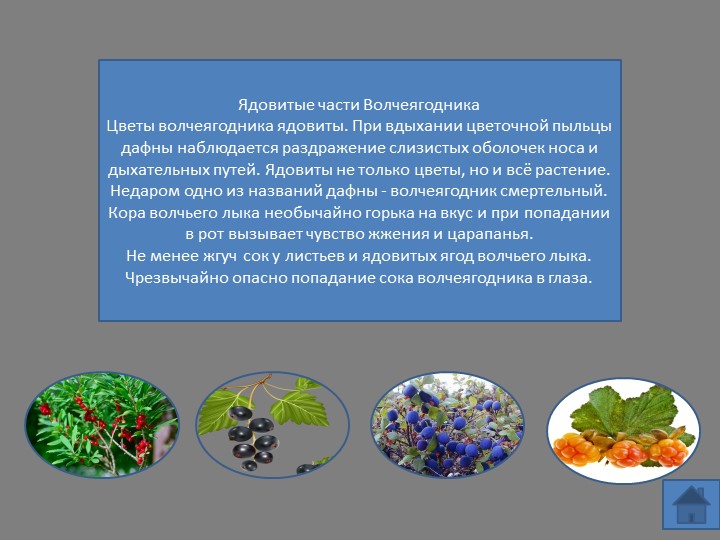Интерактивная игра "Несъедобные ягоды и грибы"