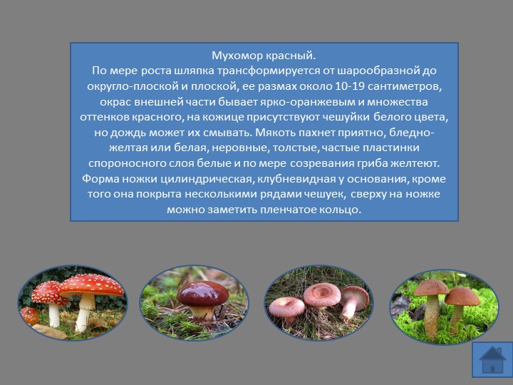 Интерактивная игра "Несъедобные ягоды и грибы"