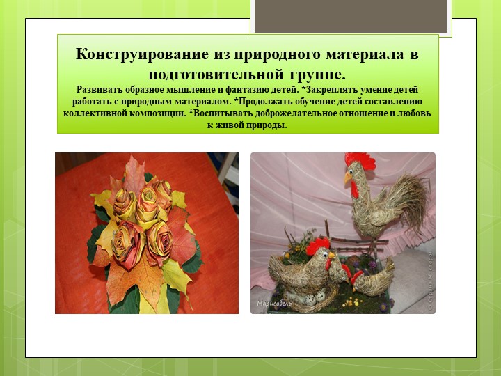 Разностороннее развитие ребенка в конструктивной деятельности
