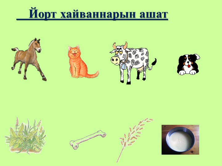 "Йорт хайваннары" флэш-уен урта татар төркеме өчен