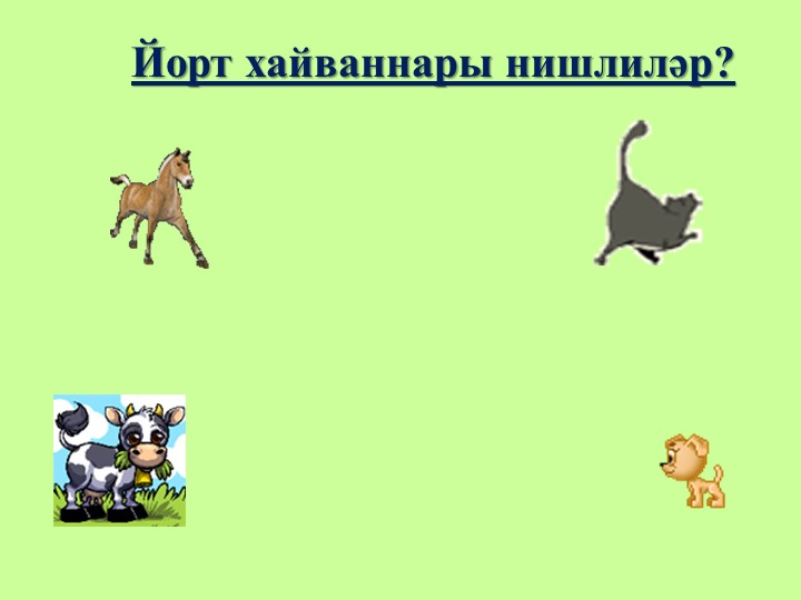 "Йорт хайваннары" флэш-уен урта татар төркеме өчен