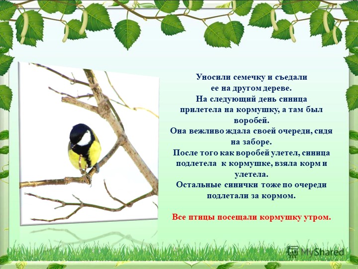 Презентация на тему "Синица,а как она живет"