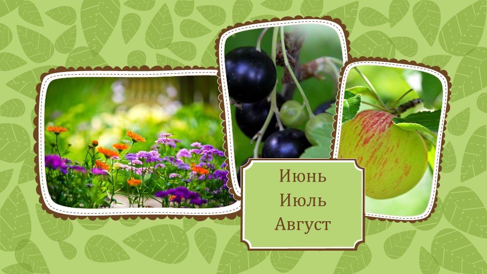 Летнее развлечение "В гостях у Айболита"