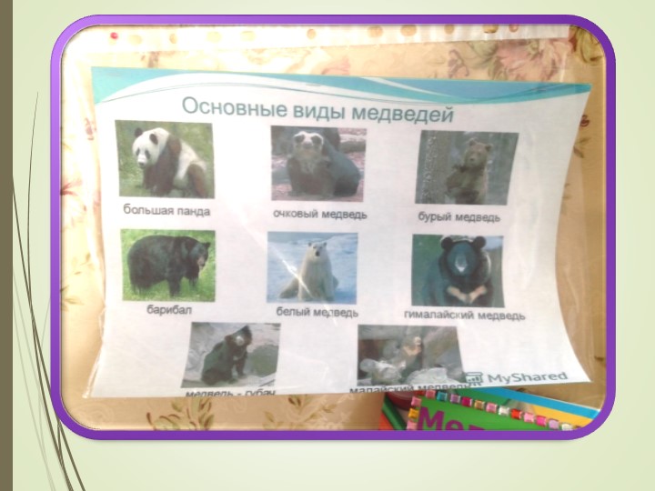 Презентация на тему "Мишки - шалунишки".