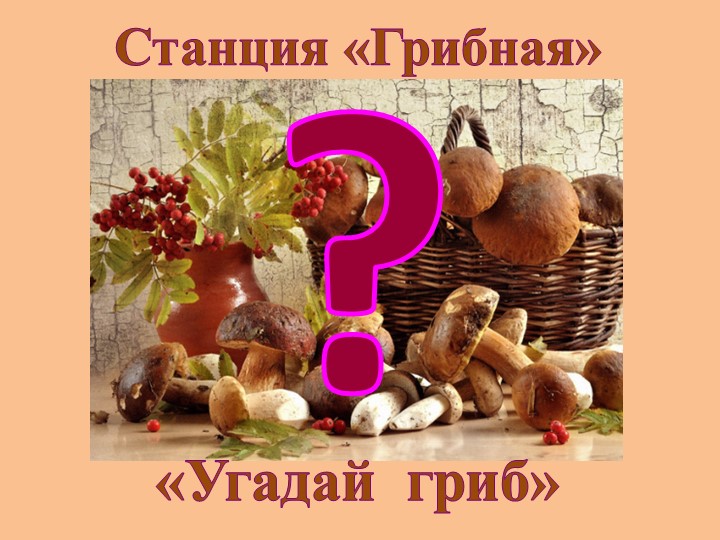 "Земля - наш общий дом"