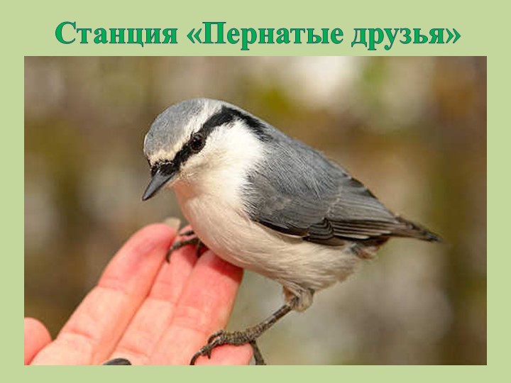 "Земля - наш общий дом"